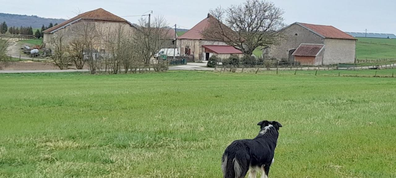 Ferme Des Champs Hotel Vrécourt Kültér fotó
